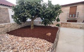 Casa Lagarto,